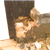 Home & Dry solutions: damp